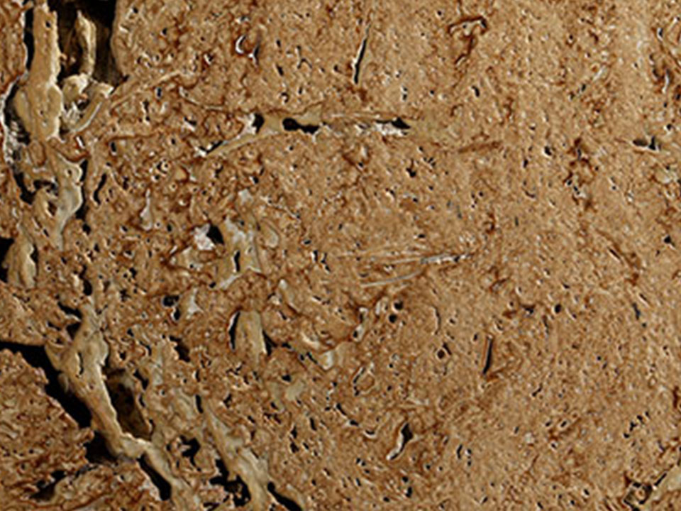 cork-travertine